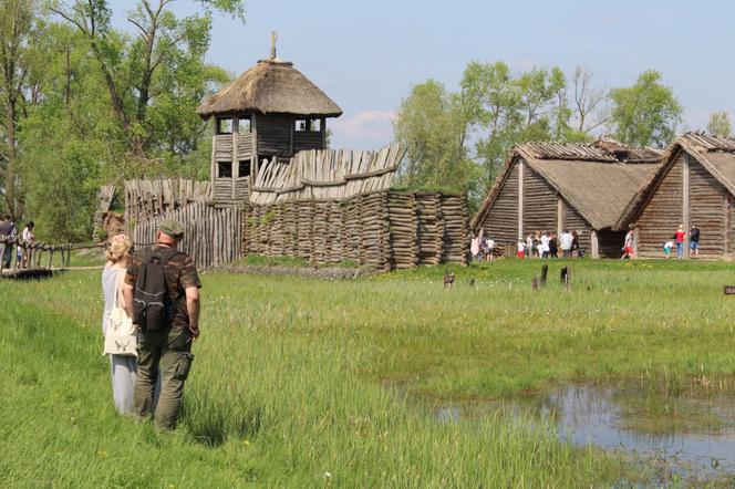 Festyn Archeologiczny w Biskupinie odwołany 
