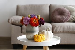 Jesienna kompozycja z dyniami