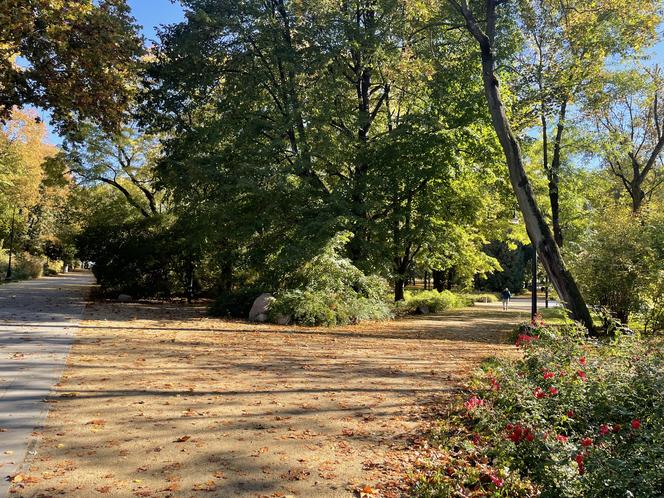 Jesień w Parku Praskim