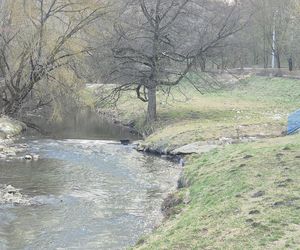 To lewy dopływ Wieprza. Bystrzyca jest największą rzeką przepływającą przez stolicę woj. lubelskiego!