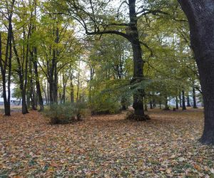 Park Lubomirskich w Białymstoku jesienią 