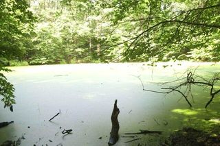 7. Rezerwat Meteoryt Morasko