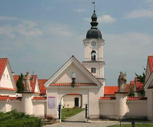 Wigierski Park Narodowy. To bezcenny obszar podlaskiej natury