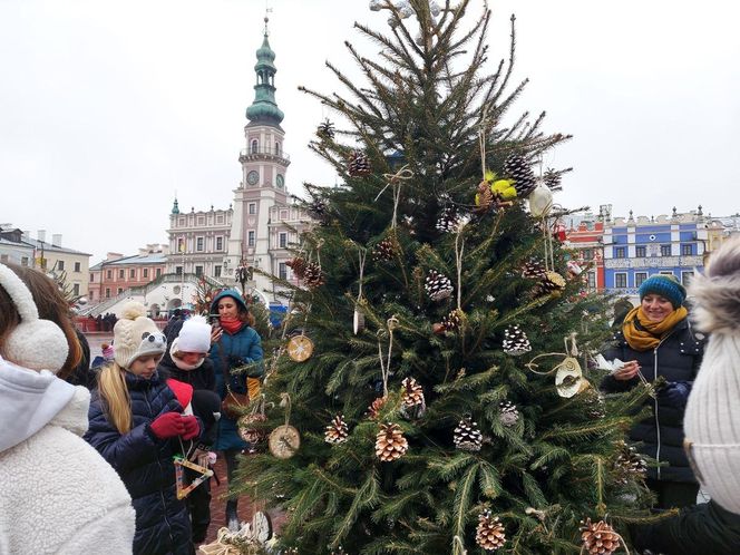  Zamojskie przedszkola i szkoły dekorowały choinki