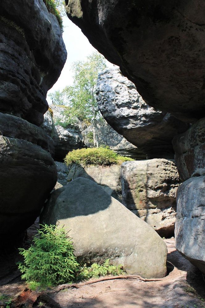 Błędne Skały to polska wersja Bryce Canyon. Są zaledwie kilka godzin od Wrocławia
