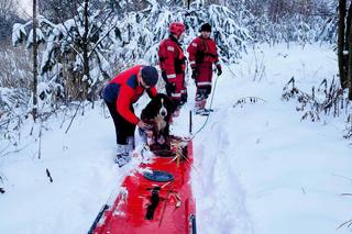 Dzieci dziękują strażakom za uratowanie psa [GALERIA]