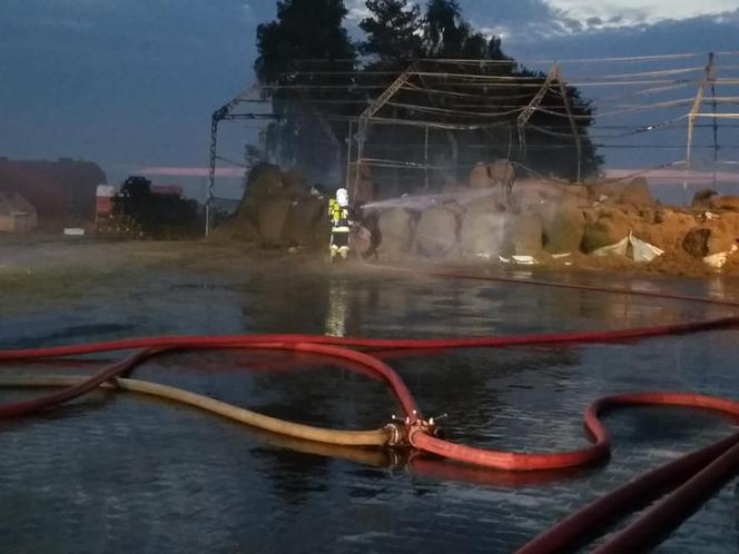 Pożar w zakładzie utylizacji odpadów pochodzenia zwierzęcego