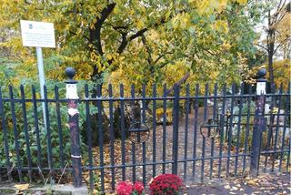 Puste cmentarze i parkingi przed toruńskimi cmentarzami