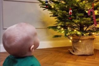 Rzeźniczakowie już świętują. W sieci pokazali ogromną choinkę