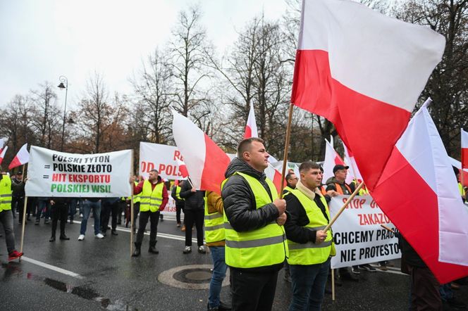 Protest plantatorów tytoniu w Warszawie (3.11.2025)