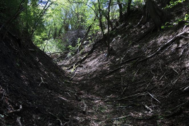 Wąwóz Szczytowa w Lublinie.