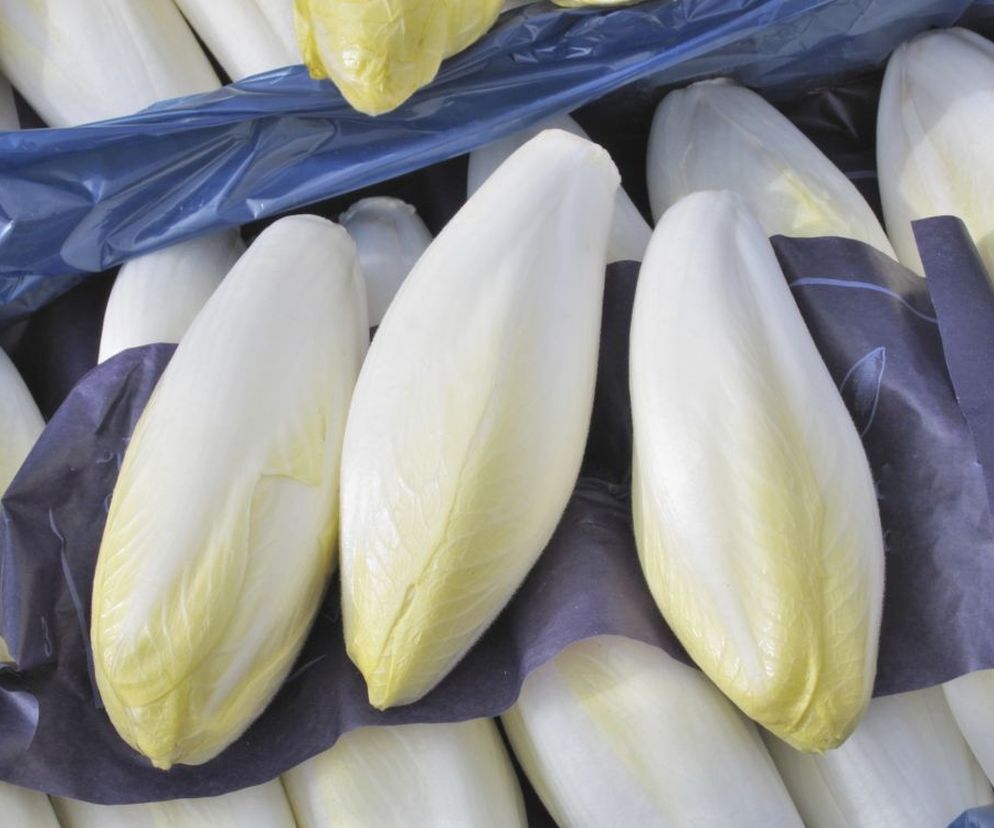 Cykoria ma mało kalorii i dobrze wpływa na nerki, trawienie, skórę