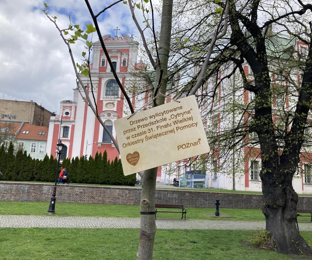 Tabliczka na drzewie posadzonym przez prezydenta Poznania i przedszkolaków