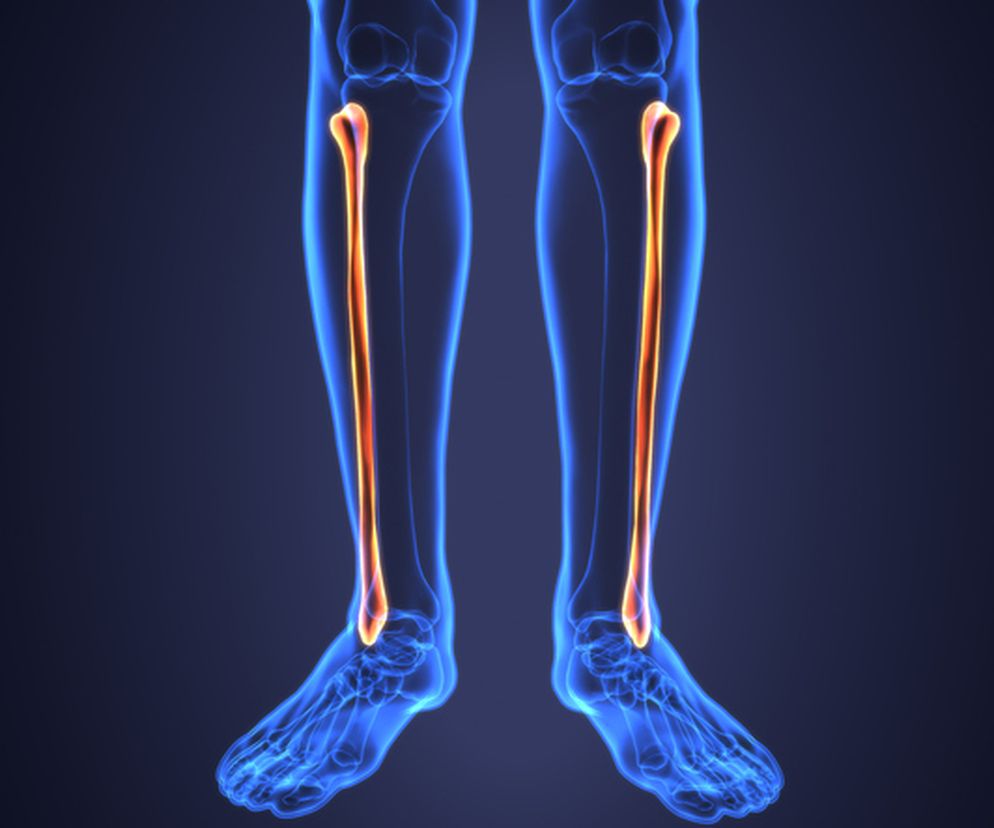 Kość strzałkowa – budowa, funkcje, choroby