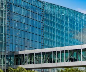 Zamojska prokuratura bada sprawę jednego z europosłów. 