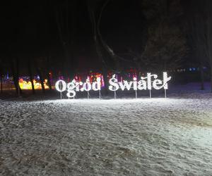 Odwiedziłam Ogród Świateł w Gdyni. Poczuj ze mną magiczny klima