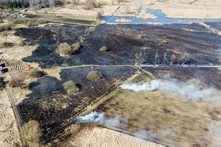 Pożar łąki w Szczecinie, 18.03.2025