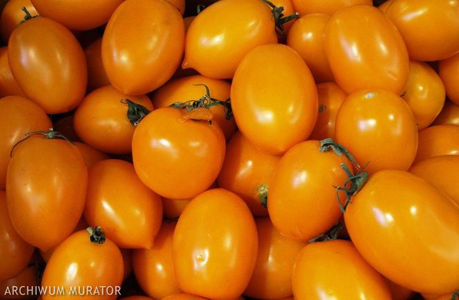 Odmiany pomidorów