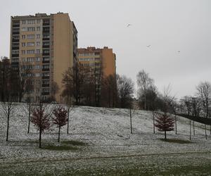 Styczniowy spacer po Kalinowszczyźnie