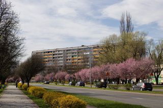 Jastrzębie-Zdrój było gigantem