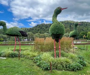 Polska Grecja w sercu uzdrowiska. Śródziemnomorski klimat zachwyci kuracjuszy
