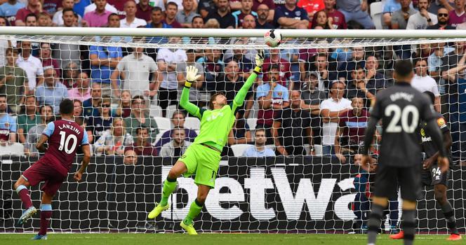 Piłkarze wesprą samotnych seniorów podczas pandemii koronawirusa. Wzruszający gest Norwich City