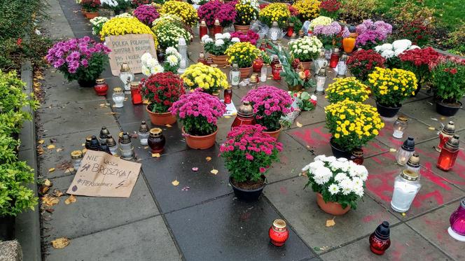 Chryzantemy i znicze pod siedzibą PiS w Szczecinie