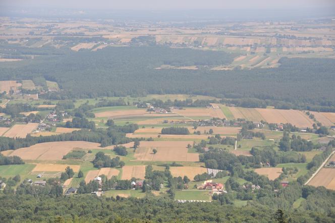 Piękne Góry Świętokrzyskie widziane ze słynnej wieży