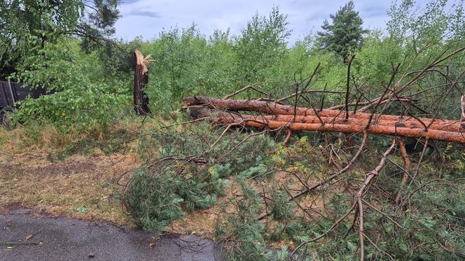Skutki nawałnic w powiatach brzeskim i tarnowskim z 7 lipca 2025 roku