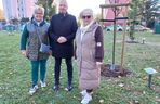 Danusia, Halinka, Linkus, Seniorita i Stasiu zapuszczają korzenie. Nowe nasadzenia w Lesznie