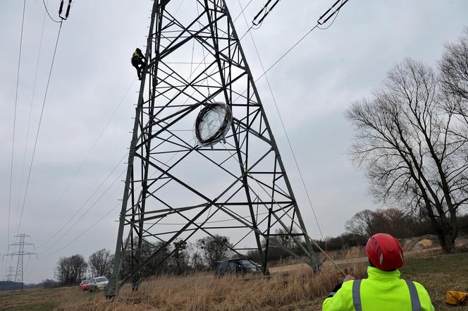 Montaż platformy lęgowej dla rybołowów w Nadleśnictwie Kliniska w okolicach miejscowości Inoujście 