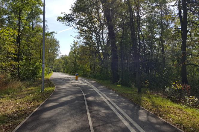 Velostrada - autostrada rowerowa w Jaworznie