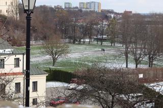 Do świąt jeszcze miesiąc, a w Lublinie już świąteczne witryny! Zobaczcie!