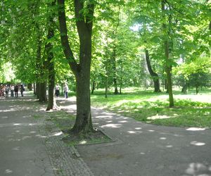 Kielce. Święto Konstytucji 3 Maja (2025)