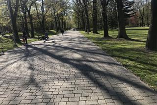 Katowice: Tłumy w Parku Kościuszki. Mieszkańcy ruszyli na spacery