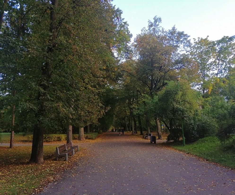 Prognoza pogody na wrzesień 2023. Jak będzie w Białymstoku i województwie podlaskim? 