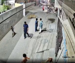 Lew rzucił się na dzieci i kobietę pośrodku ulicy! Oto, co stało się potem