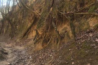 Wąwóz Królowej Jadwigi w Sandomierzu