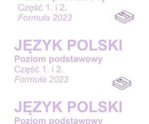 Matura próbna 2023 język polski - arkusz CKE