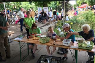 Piknik na Górze Zamkowej w ramach Jarmarku Spichrzowego