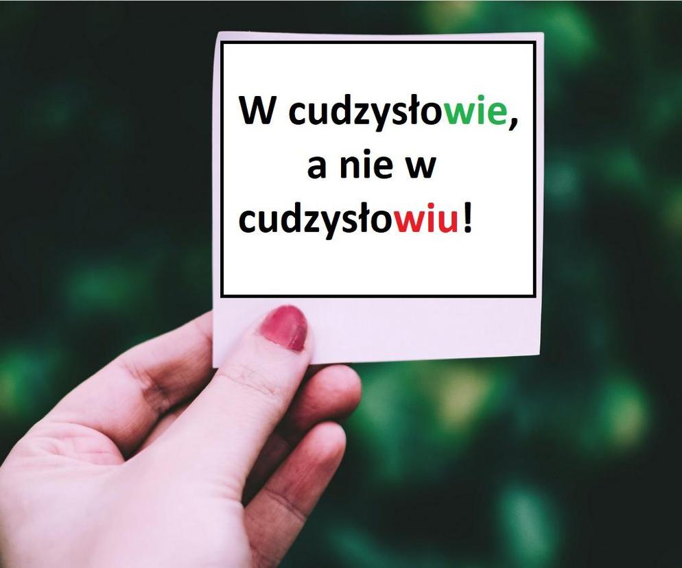 Rażące i najpopularniejsze błędy w j. polskim, których używamy na co dzień