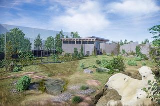 Nowiutki basen w Warszawskim ZOO to dopiero początek! Wybudują luksusowy wybieg dla niedźwiedzi