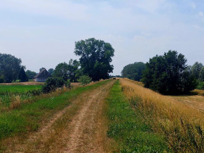 Wykluczenie komunikacyjne, między powiatami bydgoskim i chełmińskim