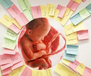 W Krakowie odbędzie się Letnia Akademia Pro-Life