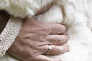 Katarzyna Cichopek-Kurzajewska, Maciej Kurzajewski. Tak wygląda para młoda po nocy poślubnej