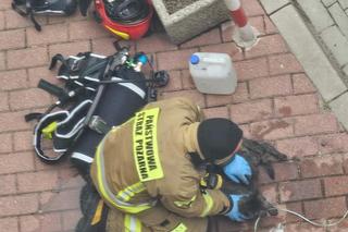 Bohaterscy strażacy weszli w ogień, żeby ratować kota. Mieszkańcy mieli łzy w oczach