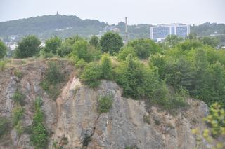 Park linowy Tyrolka na Kadzielni w Kielcach zaprasza