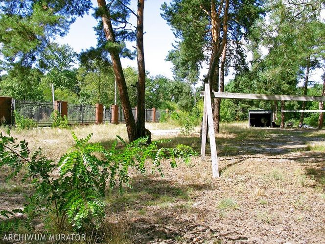 Rozpoczęcie budowy domu jednorodzinnego: jak przygotować plac budowy 