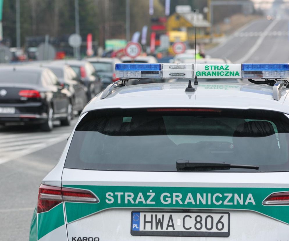 Polska wciąż wolna od pryszczycy? Wiceminister wzmacnia kontrole na granicach
