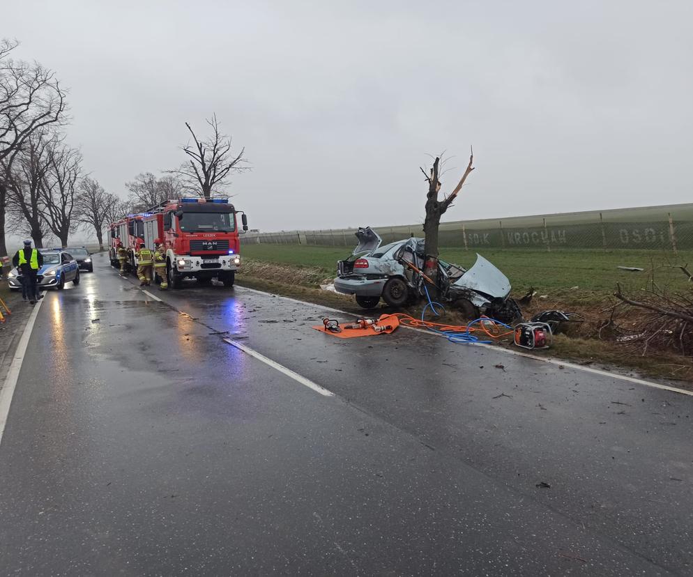 Samochód owinął się wokół drzewa. 20-letni kierowca zginął na miejscu